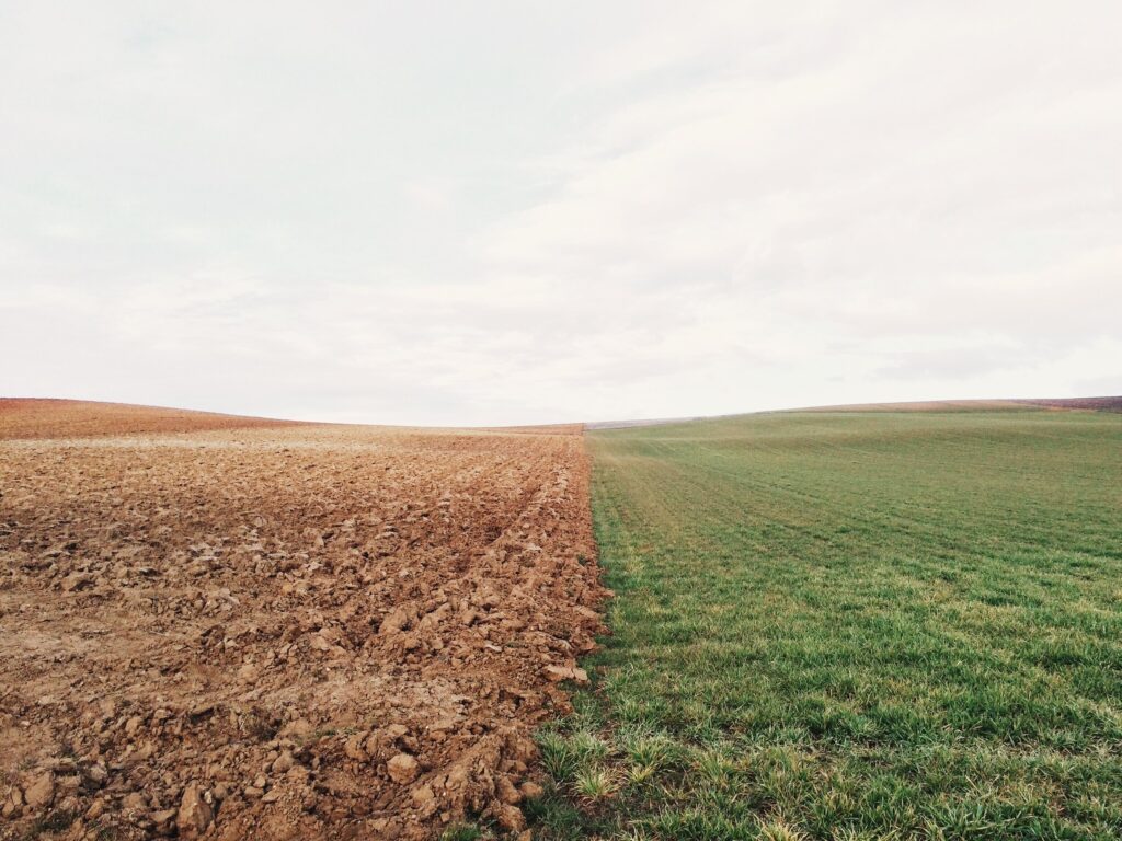 Ploughed brown field meets lush green pasture under a cloudy sky.