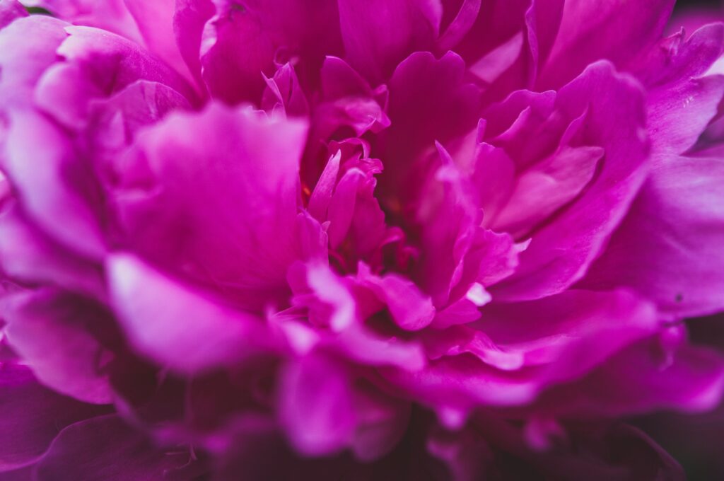 Mental Health Concerns and Eating Disorders During Perimenopause