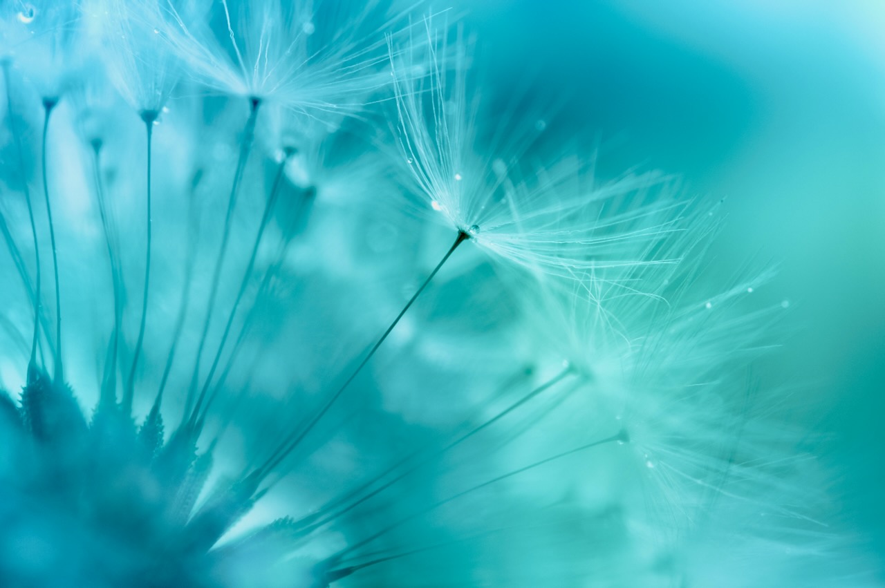 Stress and eting disorders